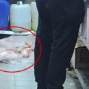 생닭집 이미지
