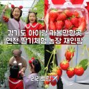 재인 농장 이미지