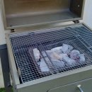 189 | [경기] 평택 강아지와 당일치기 여행, 프리미엄 글램핑 '가든 189' 장소 대여 후기