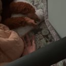 비쥬뷰티끄 이미지