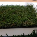 장동게이트볼장 이미지