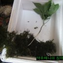 스마트리스트 이미지