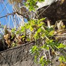 신향마을회관 이미지