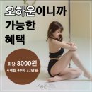 컨택폴댄스 이미지