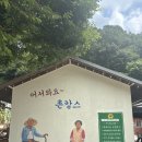 아이리스촌캉스 이미지