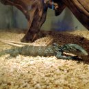 아쿠아PC방 이미지