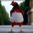 선비마을건강나라 이미지