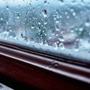 착한나무 이미지