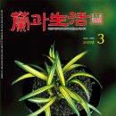 2025년 3월호 표지와 목차 이미지