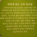 고랑포구 이미지