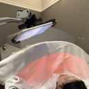 (주)신진교통 | 죽전역pt 대신 쥬비스 죽전점 복부 다이어트1주차 후기