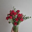 꽃집아재비 | /꽃집아재비/ 꽃다발 선물하세요^,^