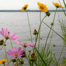 낙동강변7 이미지