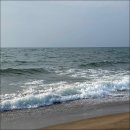 원투 피시 이미지