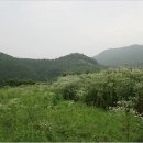 복사골환경