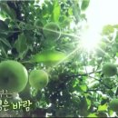 청송흑염소농장 이미지