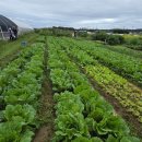 이종준농장 이미지