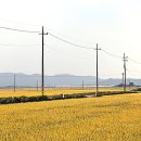 만경 이미지