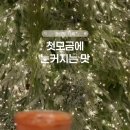 피플스톤 이미지