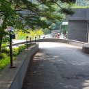 포레스트리솜 이미지