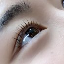 강릉 속눈썹 한올한올 컬이 살아있는 에잇뷰티스튜디오 후기