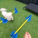 양지유치원 이미지