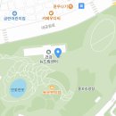 372차 솔마루길 11월 14일 화요일 18.30분 울산대공원 동문 (자전거 대여소 앞) 이미지