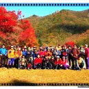 내장산약국 이미지