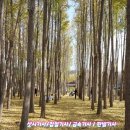민특수인력개발 이미지