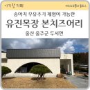 [울산 언양] 유진목장 본치즈어리 14개월 아기와 함께, 우유주기 체험 가능해요