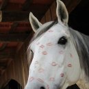 휴먼라이프 이미지