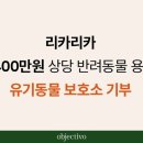 보호리카 이코노믹리뷰
