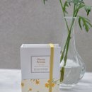프리지아FREESIA | 여자향수 추천 ahro Cheery Freesia 프리지아 생화 향수 솔직후기