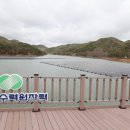 청송태양광발전소 이미지
