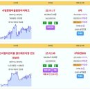 솔빛마을신도 신고가~!! 나루마을한화 신고가~!! 한빛마을아이파크 9억 나루마을한화 8.68억 다은마을반도유보라 8.68억 나루마을반도 이미지