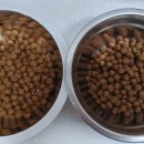 한라마테우리 이미지