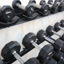 라인업 체형교정 이미지