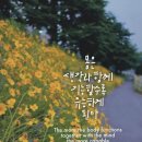 하늘사랑 이미지