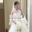 비바샵 | [W02.디어비바] 노비아갈라 동촌 연계샵 디어비바 드레스 피팅 후기 (1차&2차)