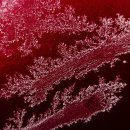 성사진관 이미지