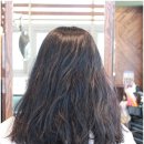 새봄디자인 이미지