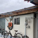 월오포레스트 이미지