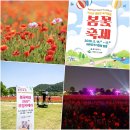 이니스프리오산 | 울산가볼만한곳 태화강 국가정원 봄꽃축제 초대가수 주차장 여행