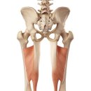 PT의 품격 이미지