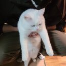 강북 경희대 태권도 | 미아동pt 김대록 트레이너님 홈짐에서 pt받은 후기