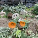 통나무집가든 이미지