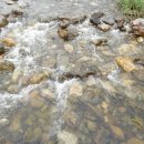 산야초산장 이미지