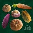 동백팜 | 제주 신상 카페 제주당 후기ㅡ새별오름 뷰와 스마트팜이 있는 감성 카페