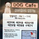 오르치그로치 이미지