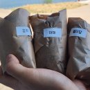 별미당김밥 이미지